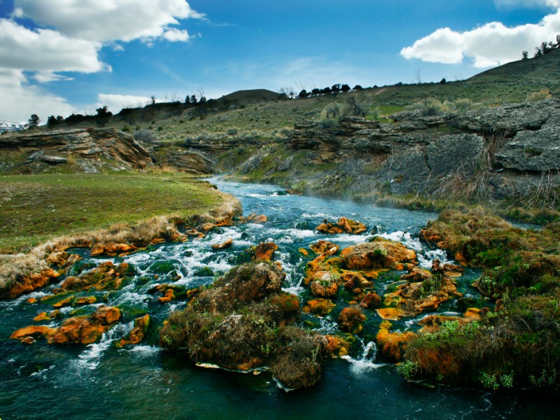 This is a popular hot spring destination in the park. The bright yellow and green algae on the rocks thrives in near boiling water temperatures.