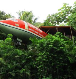 red vintage aircraft sits amongst treetops in tropical jungle