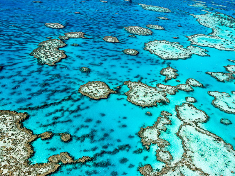 The Great Barrier Reef