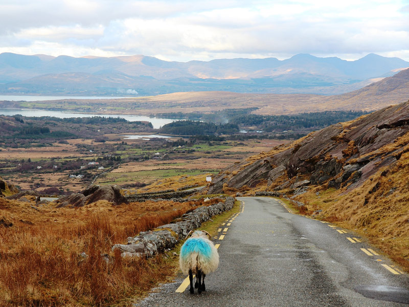 Beara Peninsula