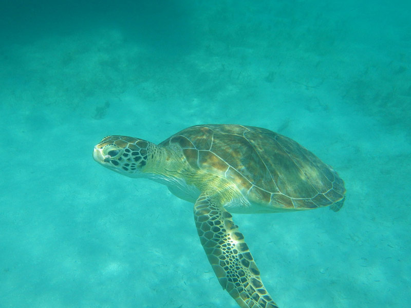 Cayo Diablo National Park