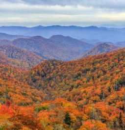 View of autumn colors and mountains along the North Carolina and Tennessee border in Great Smoky Mountains National Park, USA