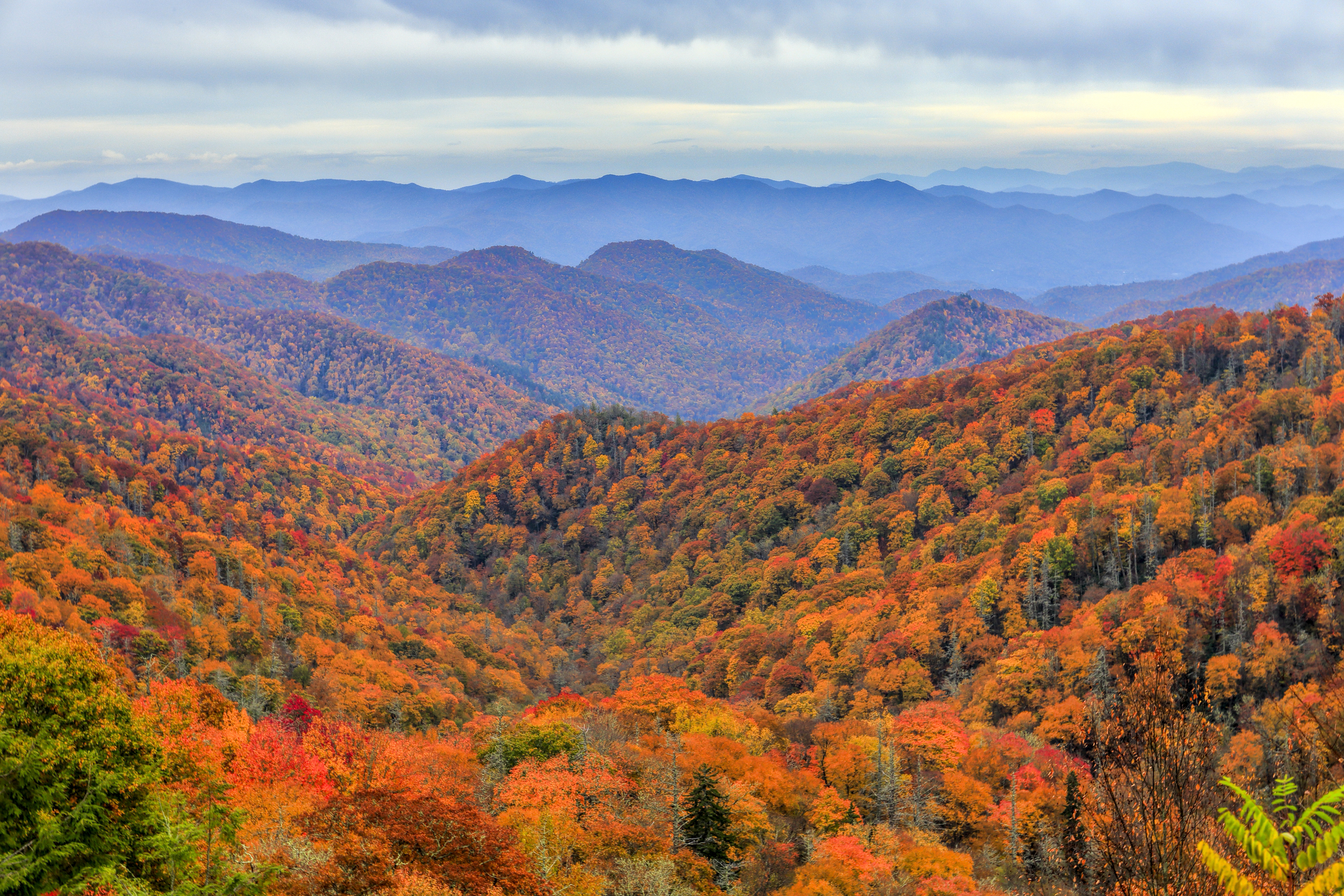 Great Smoky Mountains National Park