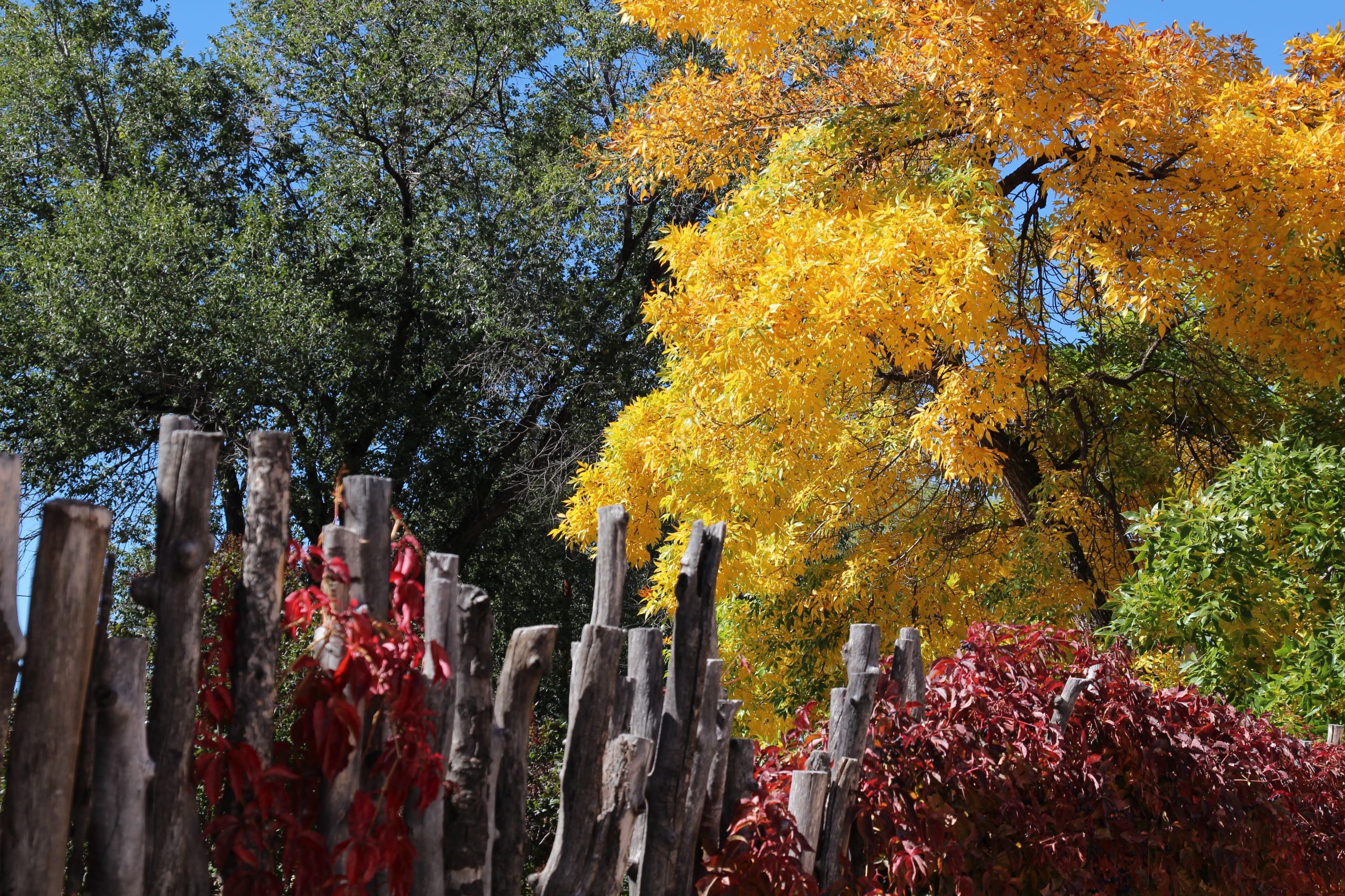 Taos, New Mexico