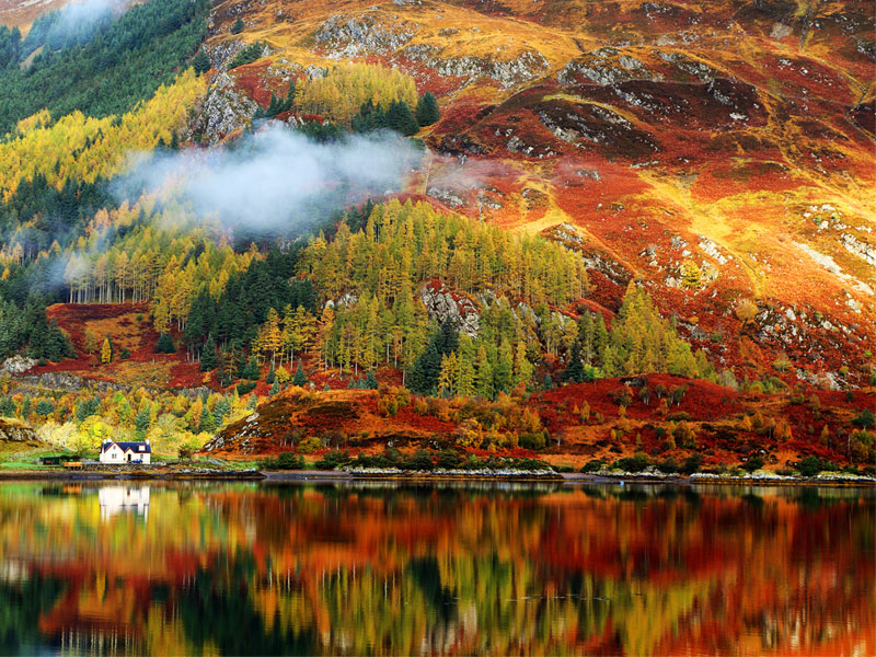 stunning autumn leaves in scotland