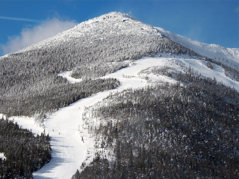 Whiteface