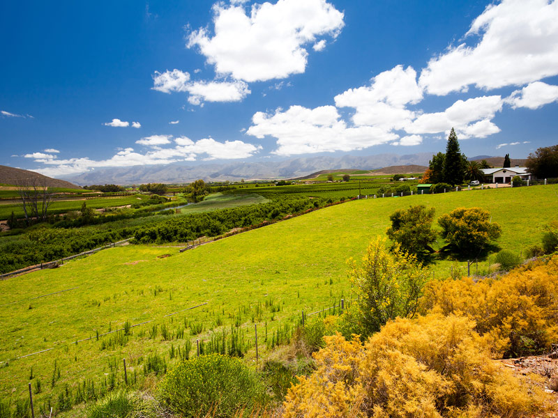 Cape Winelands, South Africa  