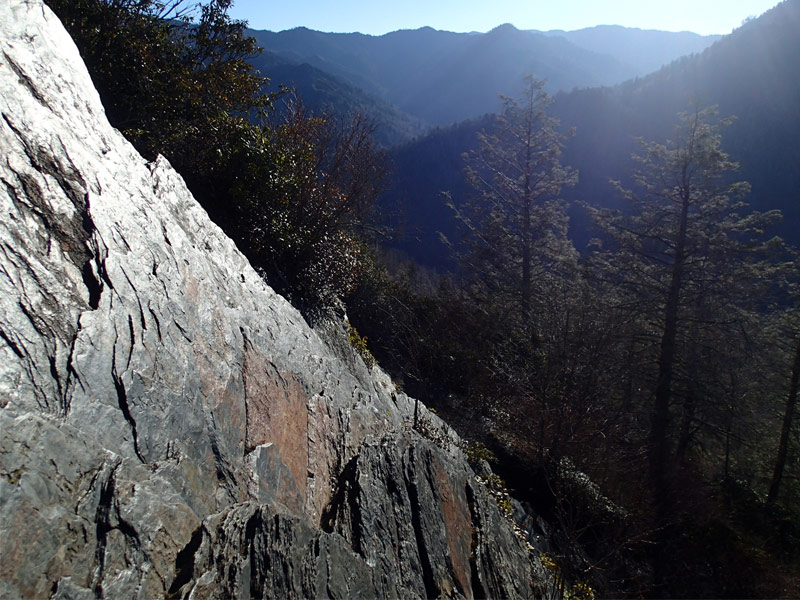 Chimney Tops