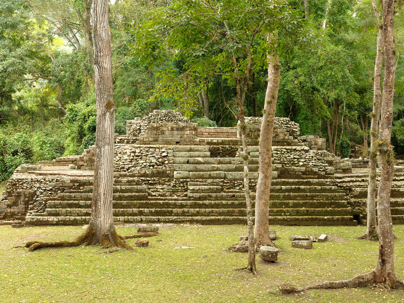 Copan