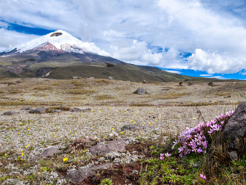  Explore the Volcanoes of Ecuador