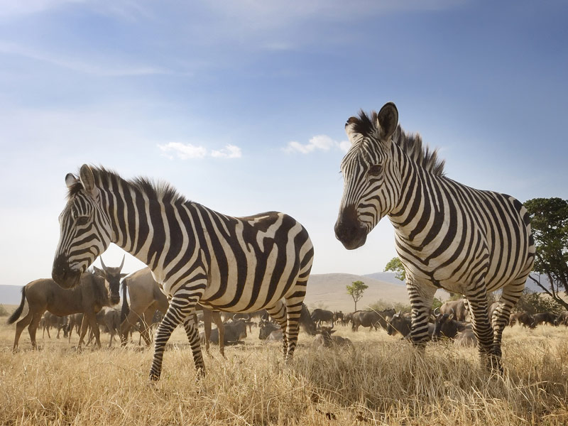 Ngorongoro Crater, Tanzania