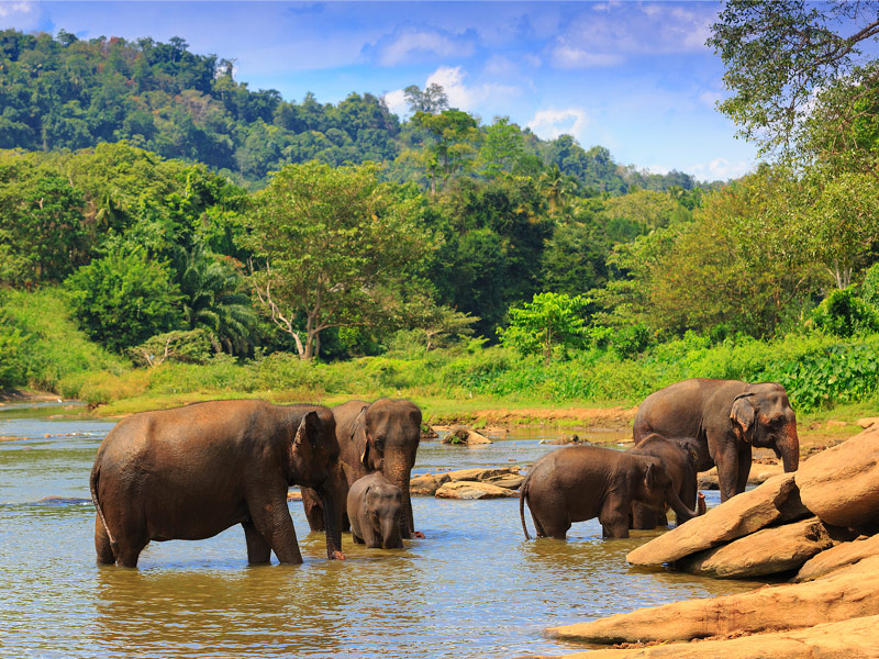 Sri Lanka