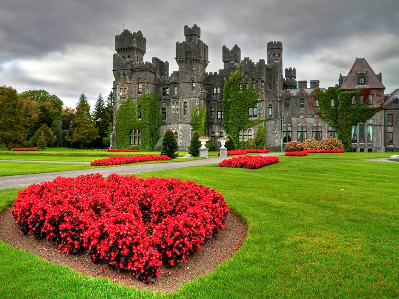 ashford castle with red flowers on lawn