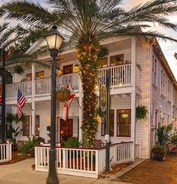 Palm trees outside 44 Spanish Street