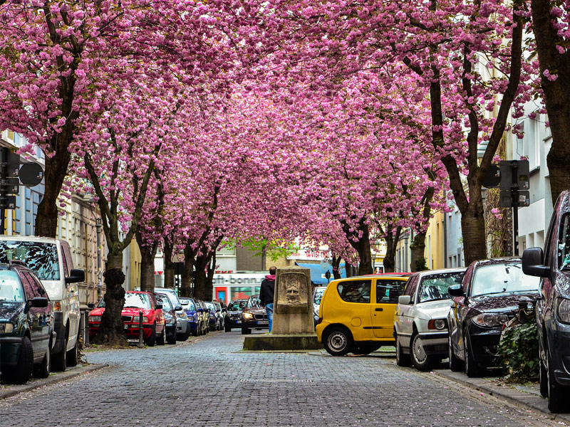 Bonn, Germany