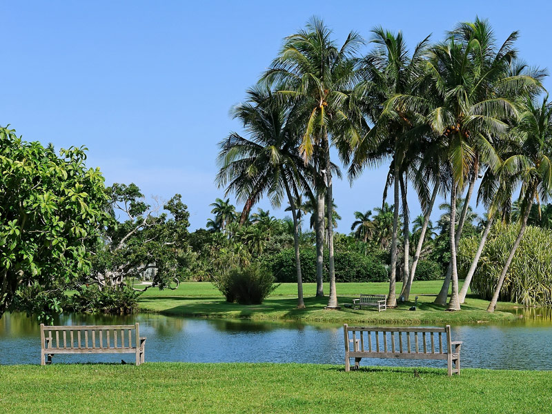 Fairchild Tropical Botanic Garden