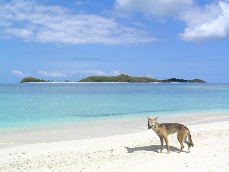 Fraser Island