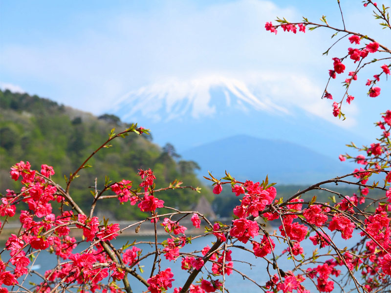 Fuji-Hakone-Izu National Park