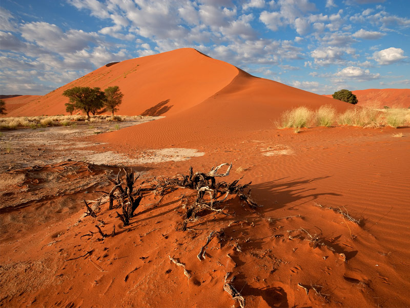 Namib Desert