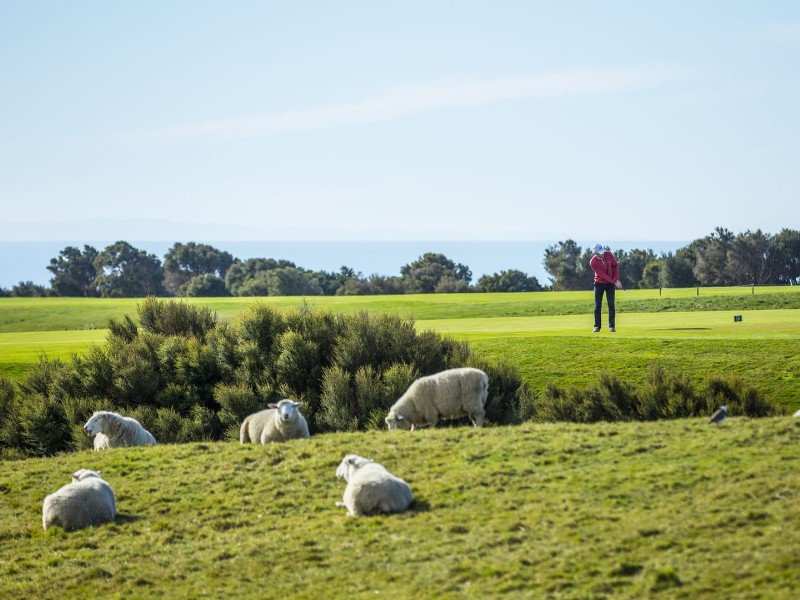 Cape Kidnappers