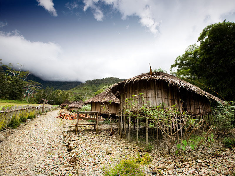 Papua New Guinea