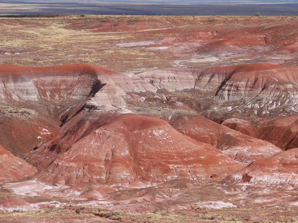 The Painted Desert