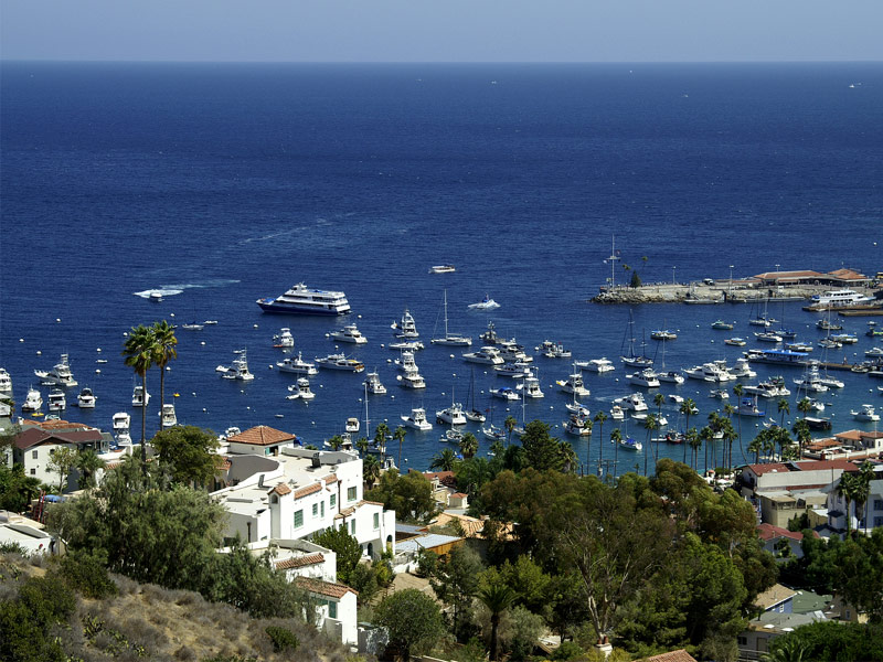 Catalina Island, California