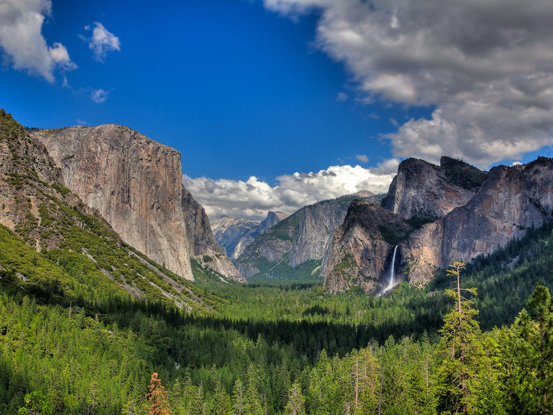 Yosemite National Park