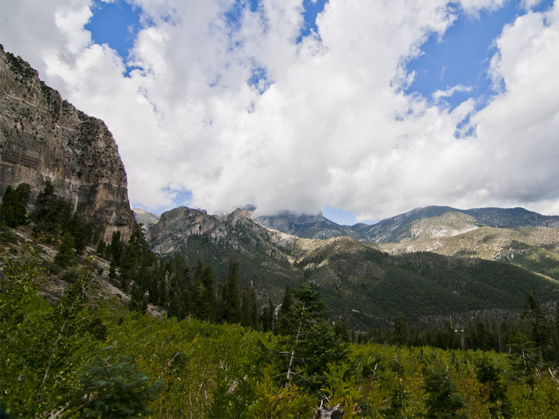  Mount Charleston and the Spring Mountains