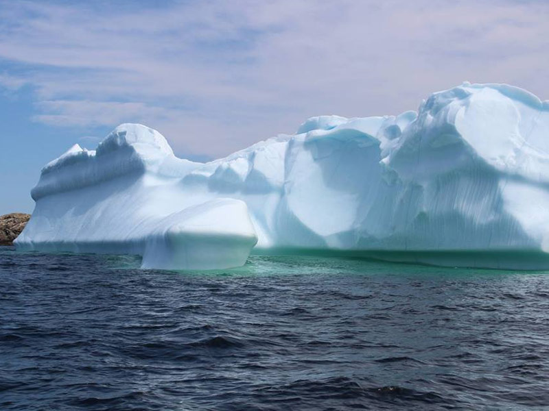  Pikes Arm/Harbourview Boat Tours