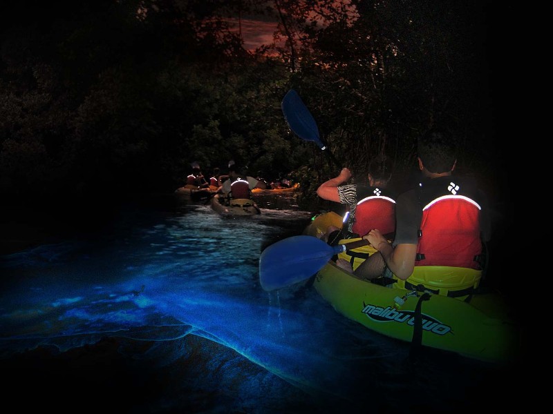 Kayaking Puerto Rico tour in Bioluminescent Bay, Fajardo, Puerto Rico