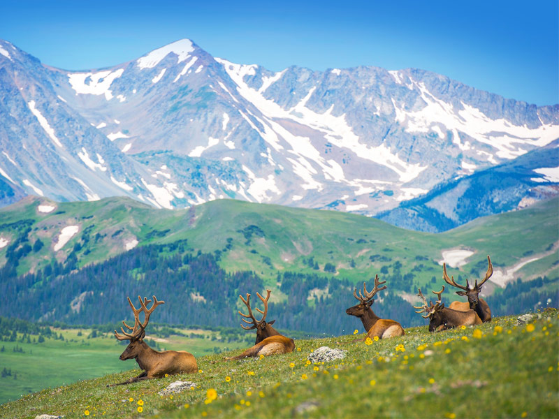 The Rocky Mountains of Colorado