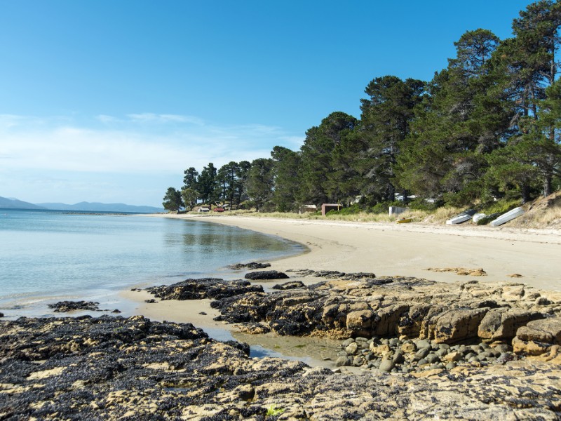 Bruny Island at low tide uncovering the young mussels growing on the rocks.