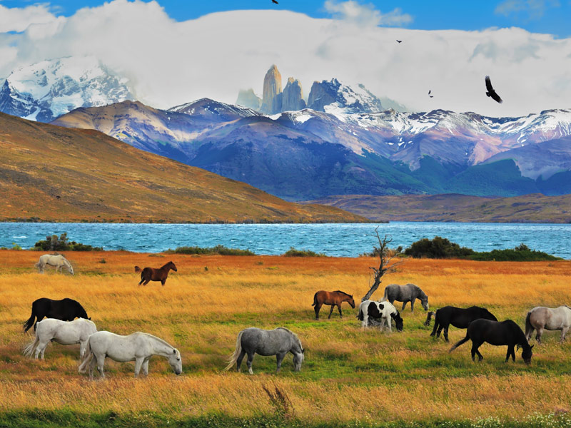 Torres del Paine National Park, Patagonia, Chile
