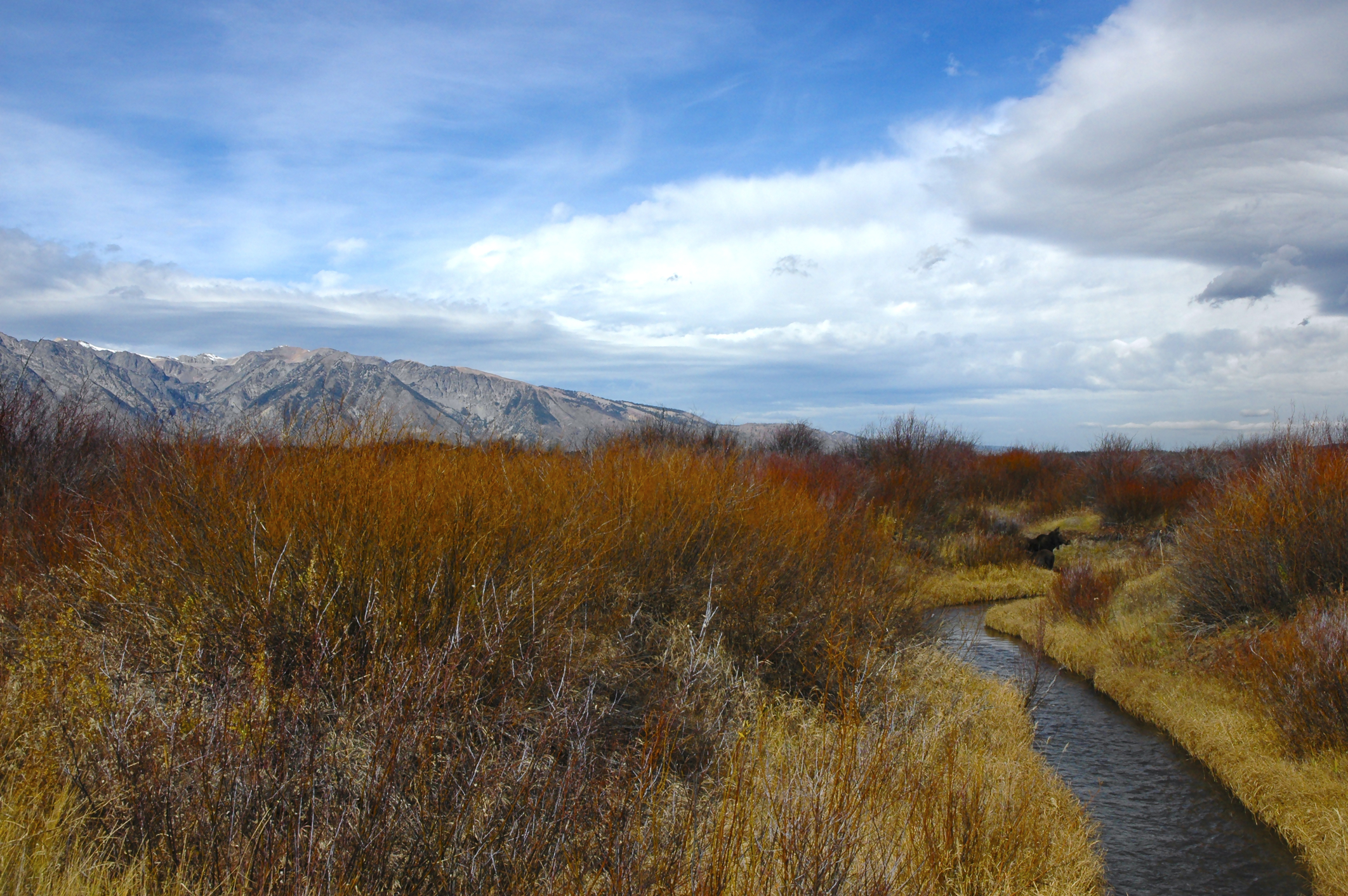 Yellowstone National Park in Fall