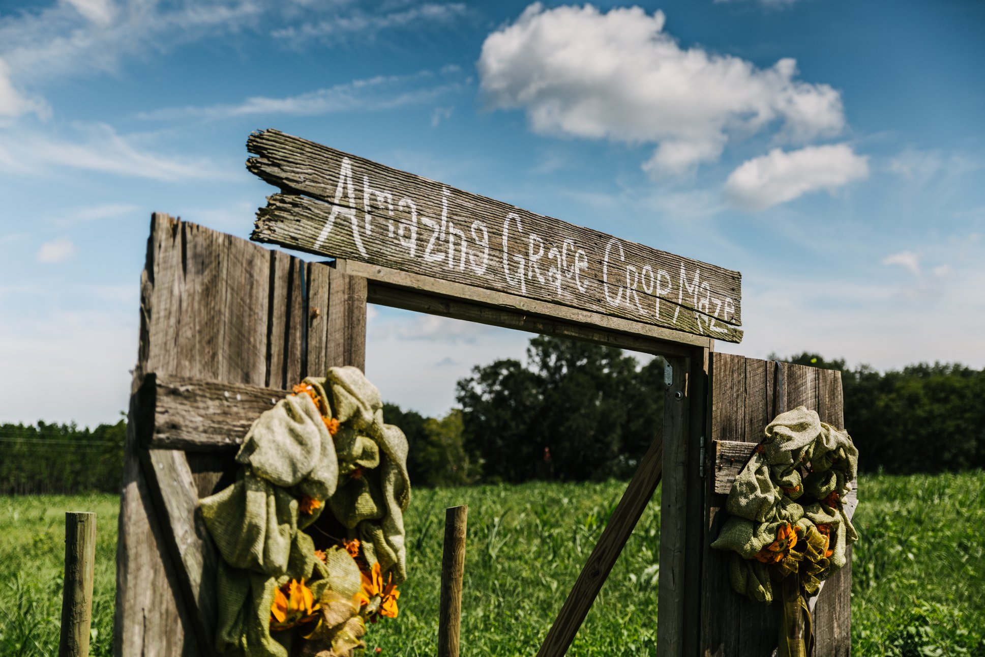 Amazing Grace Family Farms