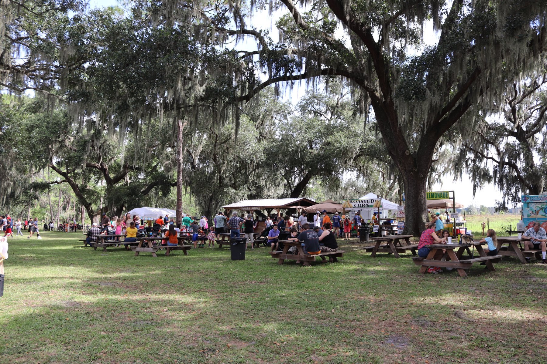 Fox Squirrel Corn Maze