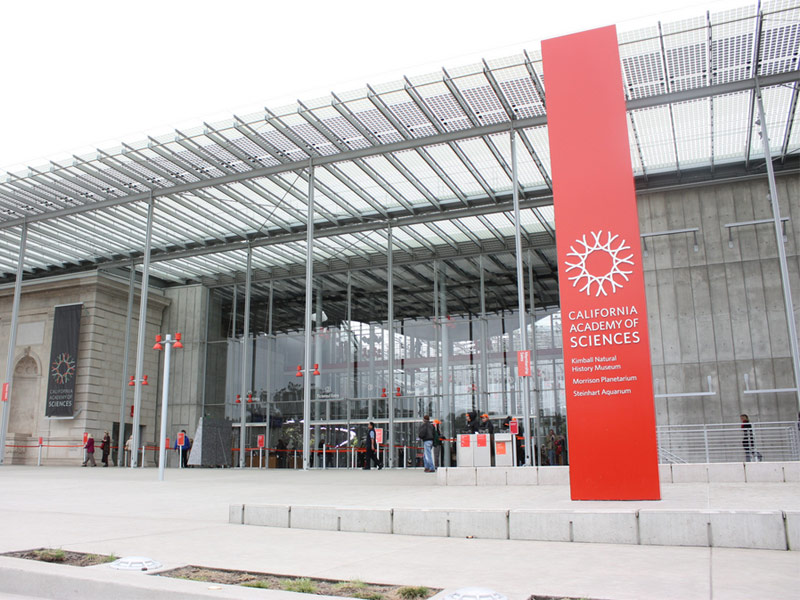 California Academy of Sciences, San Francisco
