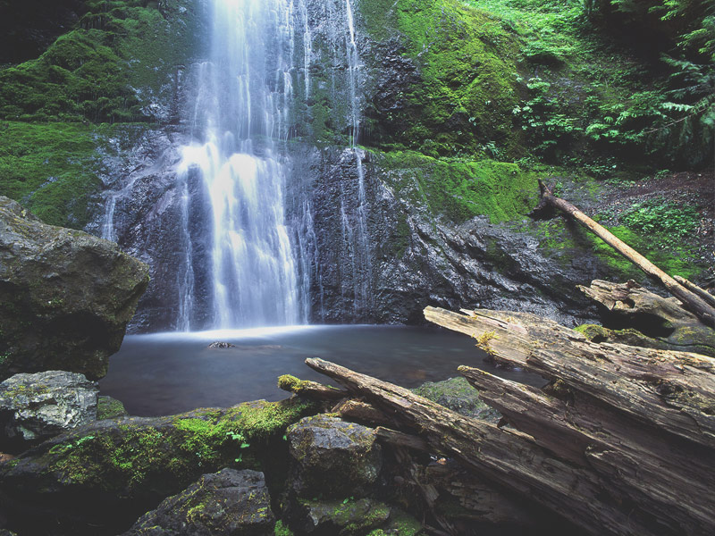 Marymere Falls, Olympic National Park
