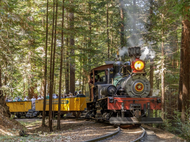 Roaring Camp Railroad