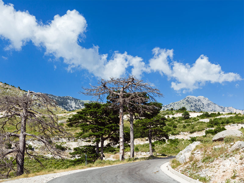 Llogara Pass