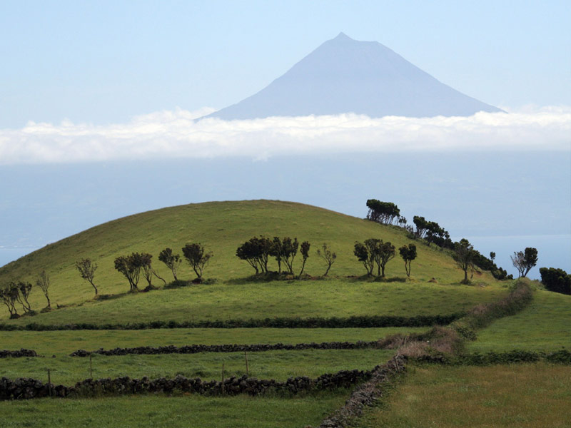  Mount Pico