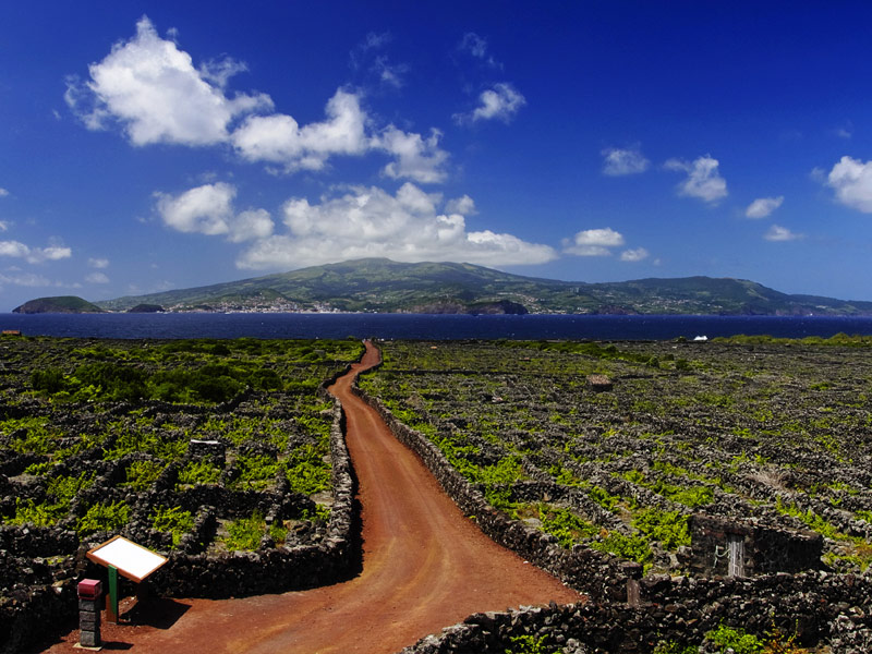 Pico Island