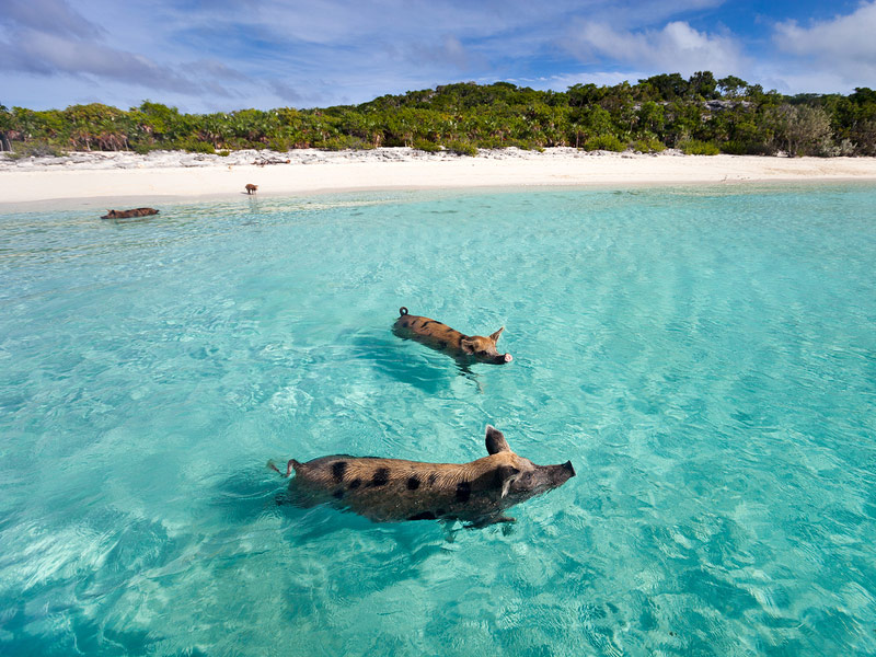 The Abacos, Bahamas
