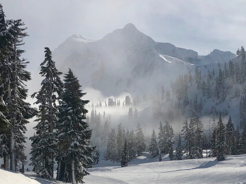 Mt. Baker Ski Area