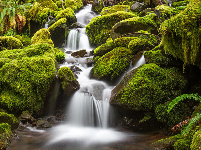 Olympic National Park, Washington