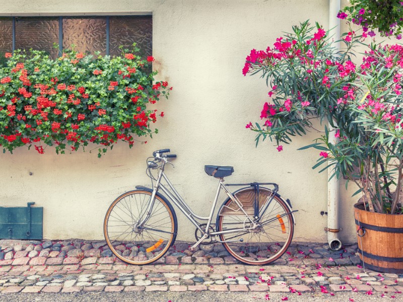 Bike in picturesque village in France.