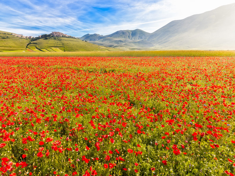 Castelluccio, Umbria, Italy 