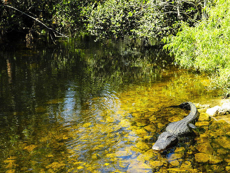 Everglades National Park