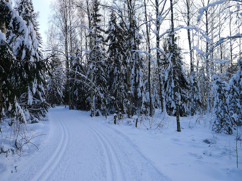 Northern Finland